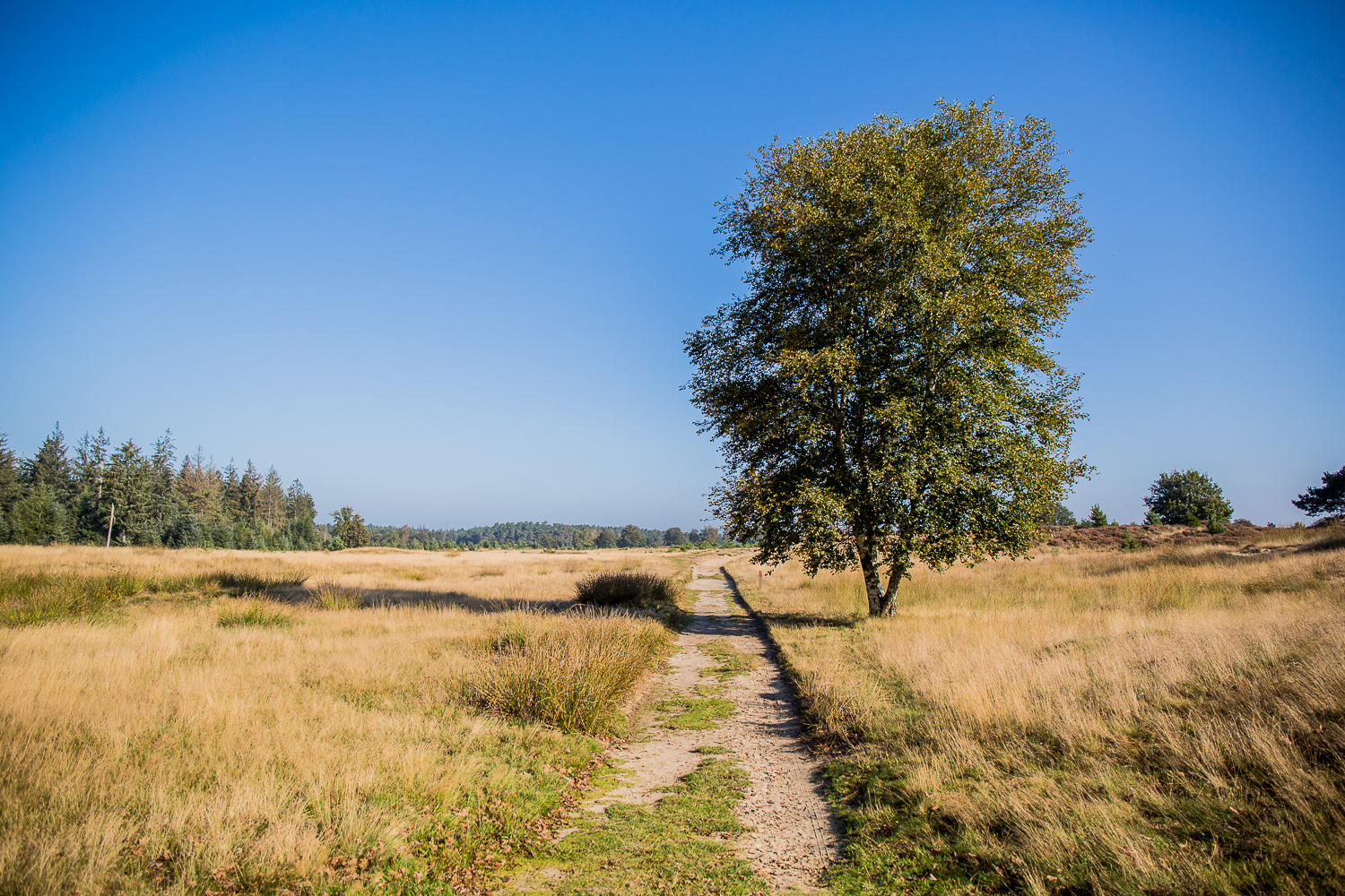 Oktober-12